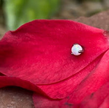 Accesorio prong set c/ rosca titanio ASTM F136 -Accesorio ópalo prong set 3 garras white