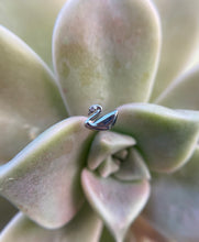 Figura c/ rosca titanio ASTM F136 - Cisne con zircon blanco