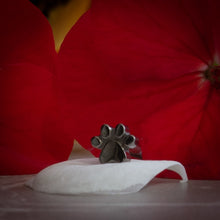 Figura c/ rosca titanio ASTM F136 - Patita de Huan