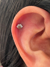 Accesorio gema c/ rosca ASTM F136 - Patita de perro con zircon blanco