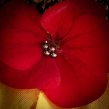 Figura c/ rosca titanio ASTM F136 - Piramide de 4 bolitas