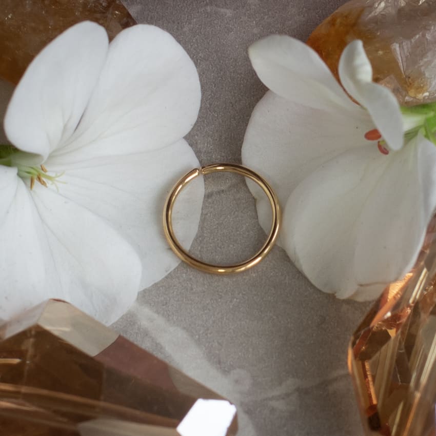 Argolla oro 18k - Aria L oro 18k -Seamless ring