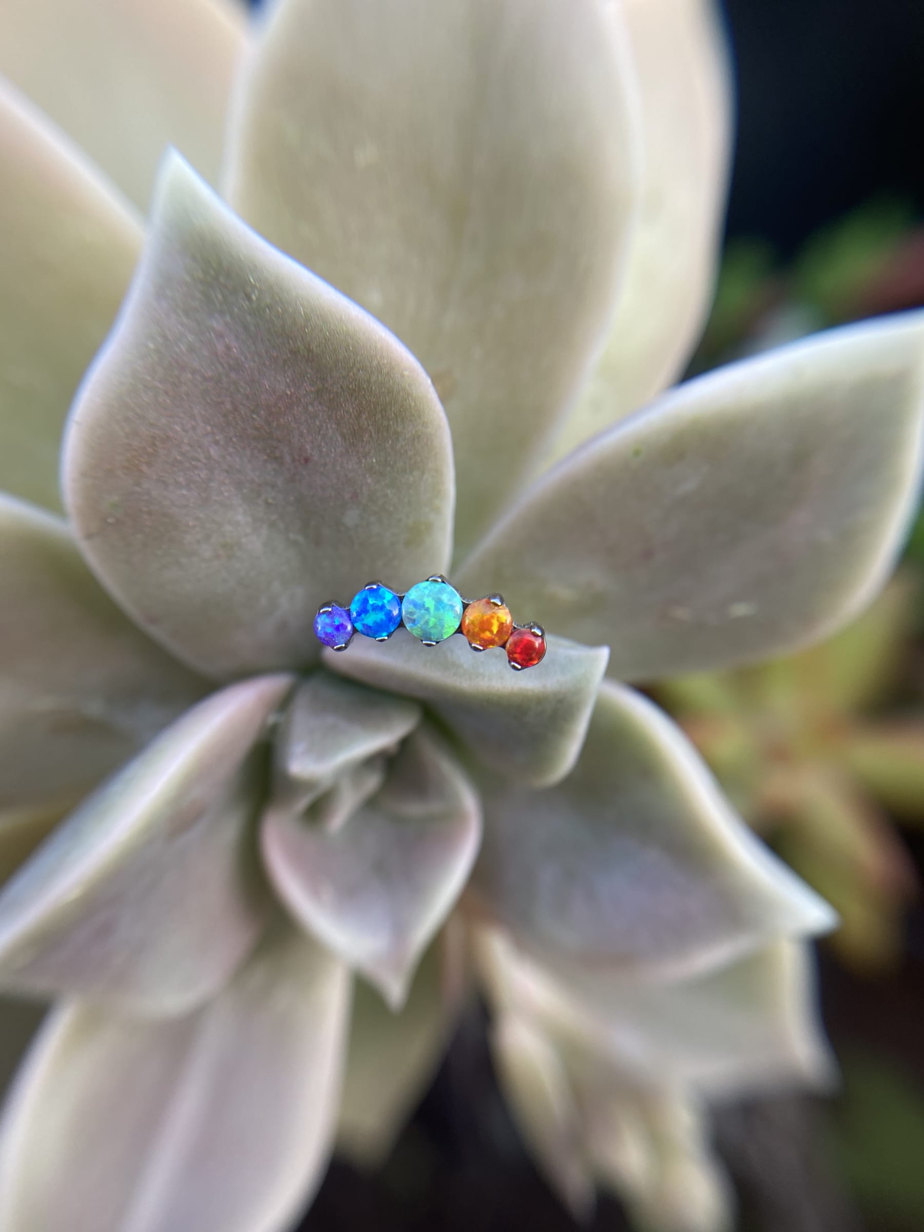 Accesorio cluster titanio ASTM F136 - Accesorio medialuna prong set 5 opal multicolor