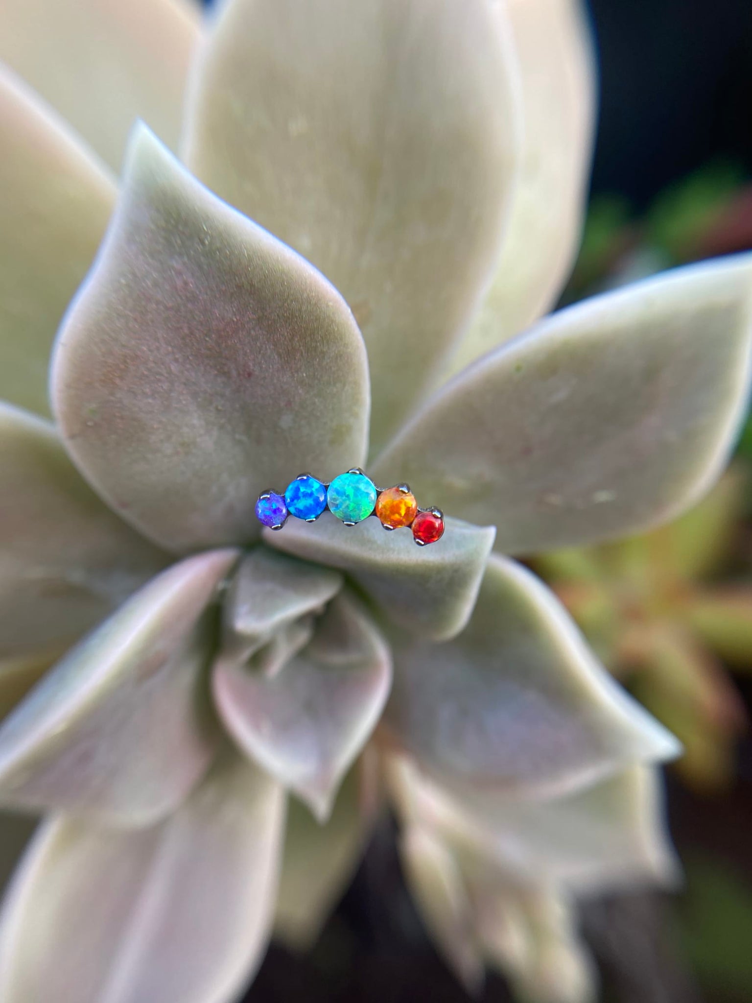 Accesorio cluster titanio ASTM F136 - Accesorio medialuna prong set 5 opal multicolor