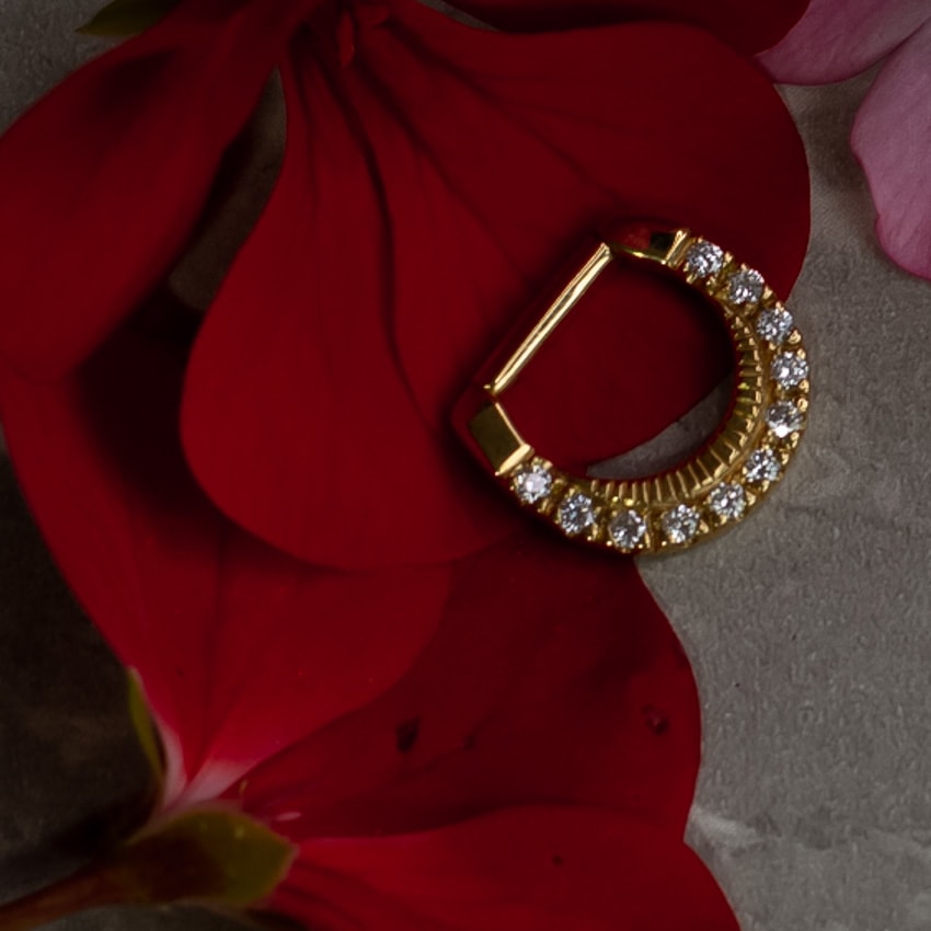 Argolla oro 18k - D-ring con 11 diamantes frontales blancos